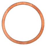 Elring Oil Drain Plug Sealing Ring - BMW 7119963473-ELR