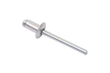 Window Regulator Rivet | 0039902497