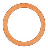 Elring Oil Drain Plug Sealing Ring - BMW 7119963132-ELR