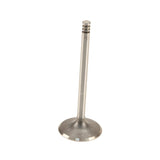 Intake Valve  (105.95mm ) - VW 12v VR6