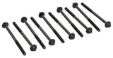 Cylinder Head Bolt Set - BMW | 11127807294