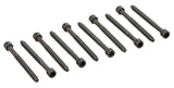 Cylinder Head Bolt Set - VW/Audi | 06D103385D