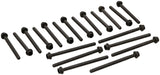 Elring Cylinder Head Bolt Set - VW/Audi 022103384L-ELR