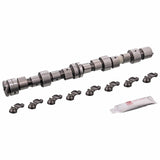 Camshaft Kit - GM by Febi 90273368-FEB