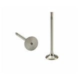 Intake Valve - VW/Audi / TDi / CBEA / CJAA / A3 8P / Beetle / Golf / Jetta / Passat