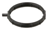 Thermostat Gasket Porsche | 94810612402