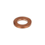 Seal Ring Nozzle Holder - VW/Audi