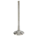 Intake Valve VWAudi 20T FSi TSi | 06D109601M