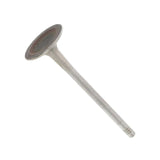 Intake Valve  - VW/Audi 2.5L / Rabbit / Jetta / Golf / Beetle / Passat