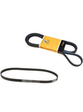 Drive Belt Kit - Audi / 3.0T / B8 / S4 / S5 / Q5 / SQ5 / C6 / C7 / A6 / A7 / 4L / 4M / Q7 by Continental 06E903137AB-CON-KT