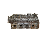 Cylinder Head Complete without Camshafts VW 20T TSI CCTA GTi GLi CC EOS Passat Tiguan | 06H103264