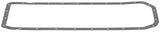 Oil Pan Gasket - BMW | 17205191