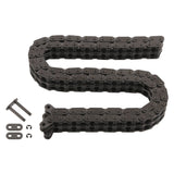 Timing Chain For Camshaft - Alfa Romeo | 105550325000