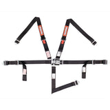 RaceQuip Black JR. L & L 5pt Harness by Racequip RQP709009