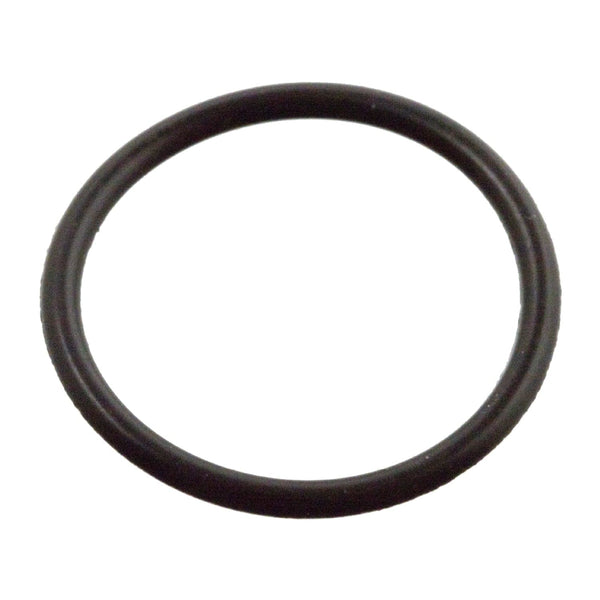 Sealing Ring For Nozzle Holder - VW/Audi | WHT000884-FEB – UroTuning