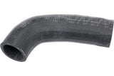 Water Pump Hose - Mercedes by URO Parts 1042030482-URP