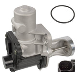 EGR Valve with Sealing Ring - VWAudi | 038131501AD