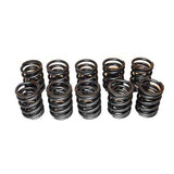 Techtonics Heavy-Duty Valve Springs for 10V, Hyd. & Solid Heads