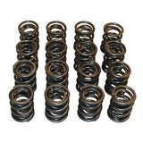 Techtonics HD High Lift Valve Springs for 16V (Set of 16)