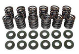 Techtonics Heavy-Duty Dual 12v Valve Springs Upgrade Kit for '96 Audi 2.8L (109_0846A)
