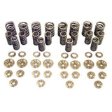 Techtonics 20v (1.8t) H.D. Valve Spring Kit w/Titanium Retainers RACE