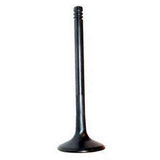 Techtonics 34mm Oversize Ex. Valve Solid lifter 8V (Audi 10v) (7mm stem)
