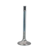 Techtonics 33.5mm (+.5mm) INCONEL Ex. Valve Hyd 8V (10v)