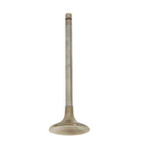Techtonics High Performance Inconel Ex Valve 1.8T/30v 29.9mm Single Groove