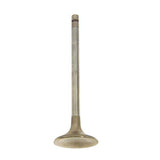 Techtonics High Performance Sodium Inconel Ex Valve, 1.8T, 30v V6 30.9mm