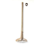 Techtonics Inconel R32 Exhaust Valve 30.15mm (long)