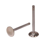 Techtonics 34mm Oversize Exhaust Valve Solid lifter 8V (Audi 10v) 8mm stem