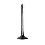 Techtonics 36mm Oversize Ex. Valve Solid lifter 8V (Audi 10v) (7mm stem)