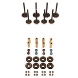 Techtonics 40-42mm x 33-35mm 8V 1.8L Solid Lifter Hi-flow Valve Kit