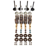 Techtonics 40-42mm x 33-35mm Stainless 8V Hyd. Hi-Flow Valve Kit 7mm stem