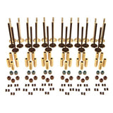 Techtonics V6 30v Valve Kit Stainless Intake-Inconel Exhaust Valves +1mm