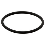Sealing Ring - BMW