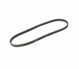 AC Drive Belt 4PKx824 844 BMW N62 | 11287520177