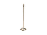 Exhaust Valve - MINI Cooper Base R55 R56 R57 R58 R59 R60 R61 | 11347533885