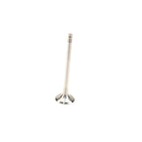 Exhaust Valve (29mm) - BMW / N63 / S63 / E7X / F0X / F1X | 11347570164