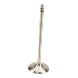 Intake Valve - BMW N55 N20 | 11347583777