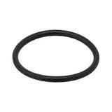 Sealing Ring - BMW