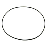 Alternator O-Ring