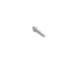 Star Socket Screw (M6X30) - BMW / Mini by BMW 11519908732