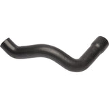 Coolant Hose
