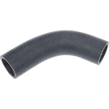 Radiator Hose - Triumph