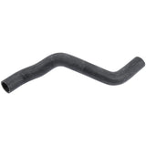 Coolant Hose