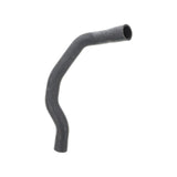 Radiator Hose Lower - MINI Cooper / S / JCW / R52 / R53