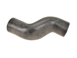 Radiator Hose Lower - MINI Cooper Base R50 R52 | 17127515489