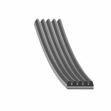 Auxiliary Belt - VW/Audi by Febi 03C145933A-FEB