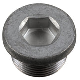 Oil Drain Plug - Mercedes by Febi 1249970132-FEB